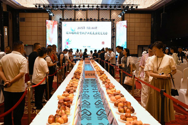 郑果所与阜康市和西部农业研究中心共同举办新疆西王母瑶池蟠桃会
