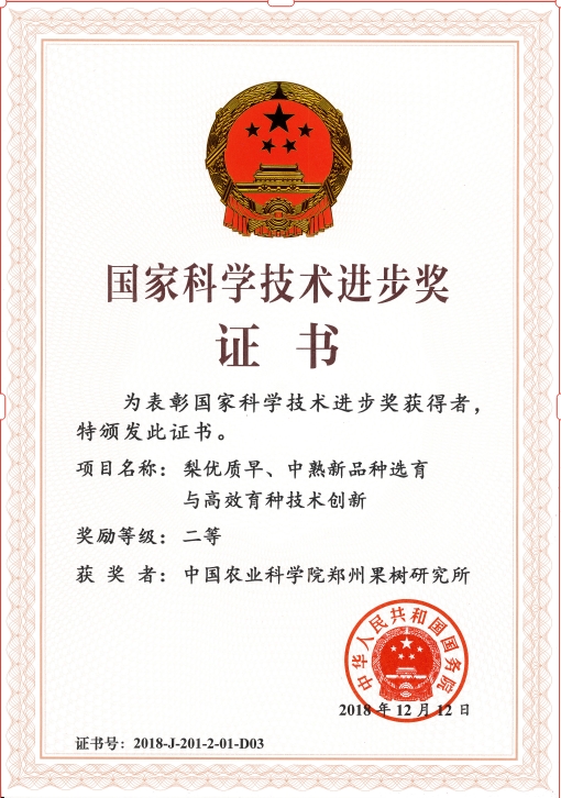 国家级科技奖励