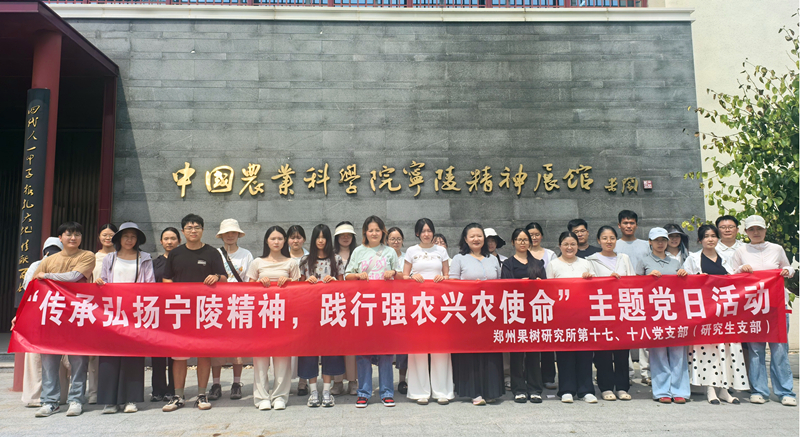 图片1_副本.jpg