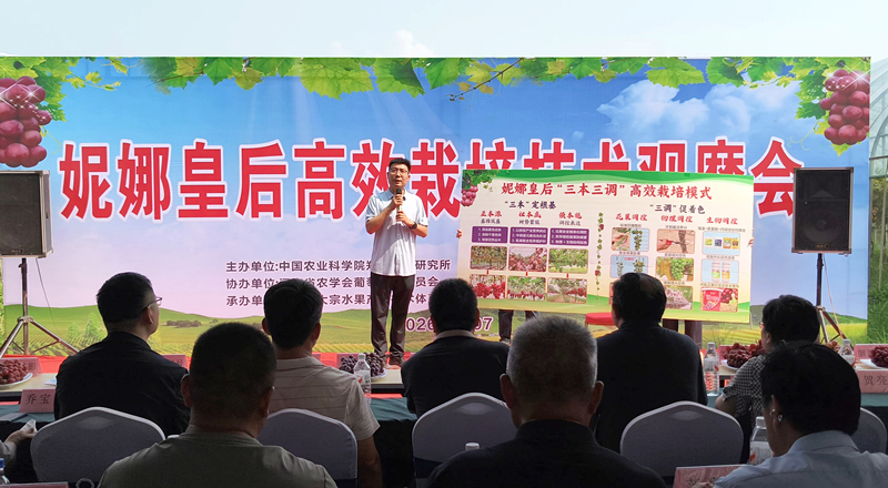 大伟_副本.jpg