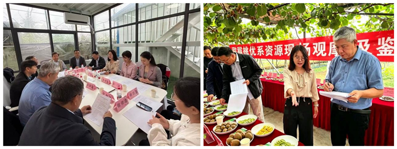 图片1_副本.jpg